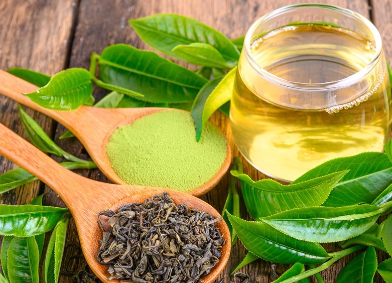 如何睡睡平安、不再腦霧健忘? 營養師:攝取富含茶胺酸與綠薄荷植物多酚的益生菌